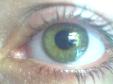 le vert
